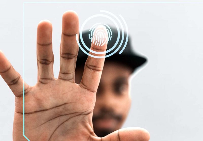 SEO & Dijital Görünürlük Optimizasyonu